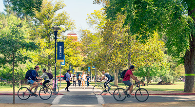 Campus walkway with students walking and bicycling beneath sunlit leafy trees.