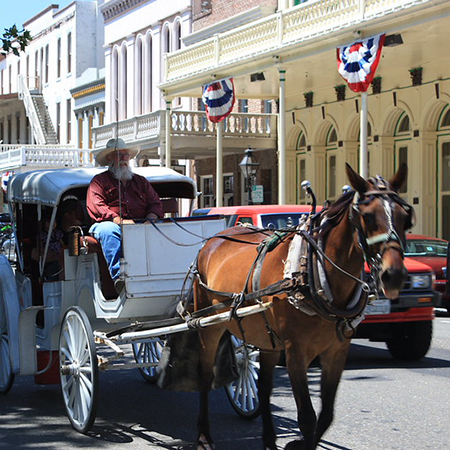 Horse-drawn carriage with driver on sunny historic street, patriotic bunting overhead